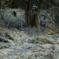 20141227120315-IMG_5673