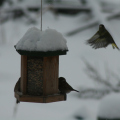 20141229103953-IMG_5714