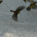 20141229121837-IMG_5734