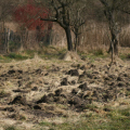 20150307115457-IMG_6077