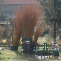 20150307115502-IMG_6078