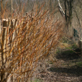 20150307115555-IMG_6081