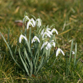 20150307115645-IMG_6084