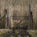 20150307120224-IMG_6117