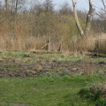20150411151421-IMG_6394