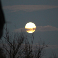 20151224174015-IMG_9679