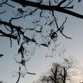 20160128173554-IMG_9756