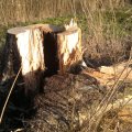 20160223160841-2016-02-23-2840