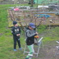20170415191429-IMG_2689