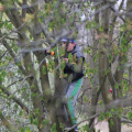 20170415192235-IMG_2697