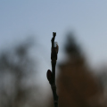 20180304175057-IMG_8262