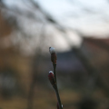 20180304175119-IMG_8263