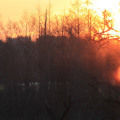 20180319080543-IMG_2867