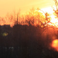 20180319080549-IMG_2868