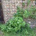 20180503174207-20180503_174207