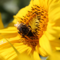 20180715132347-IMG_3441