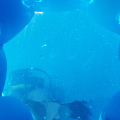 20190624165613-20190624_165613