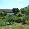 dsc08437