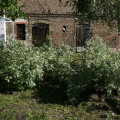 img_0091