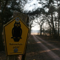 20110227125459-img_0617
