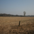 20110227125633-img_0620
