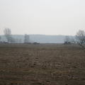 20110227125820-img_0634
