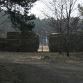 20110227130831-img_0644