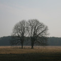 20110227131245-img_0645