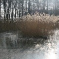 20110227131813-img_0657