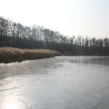 20110227131839-img_0659
