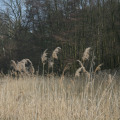 20110227132023-img_0669