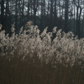 20110227132136-img_0674