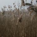 20110227135617-img_0780