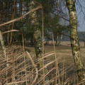 20110227140107-img_0803