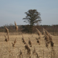 20110313114105-img_0914