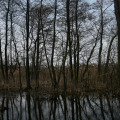 20110313115218-img_0919