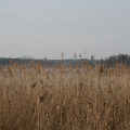 20110313123422-img_0952