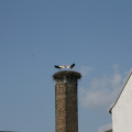20110407105841-img_1079