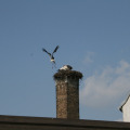 20110407105907-img_1080