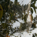 20111003091532-img_1691