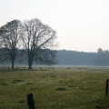 20111003093517-img_1708