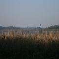 20111003100425-img_1729