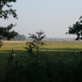 20111003100943-img_1747