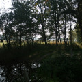 20111003101023-img_1750