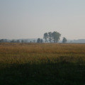 20111003101500-img_1752