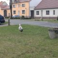 20120408105744-bild_173