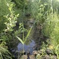 20120520111128-bild_212