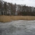 20121226143531-bild_393