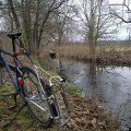 20121226143859-bild_400