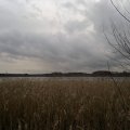 20121226144941-bild_408